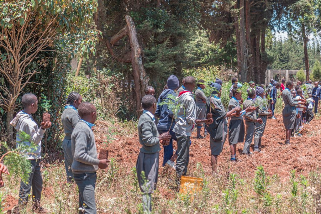 Website Logo